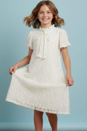 صورة فستان بيج كلاسيكي جميل مع فينكه على الصدر